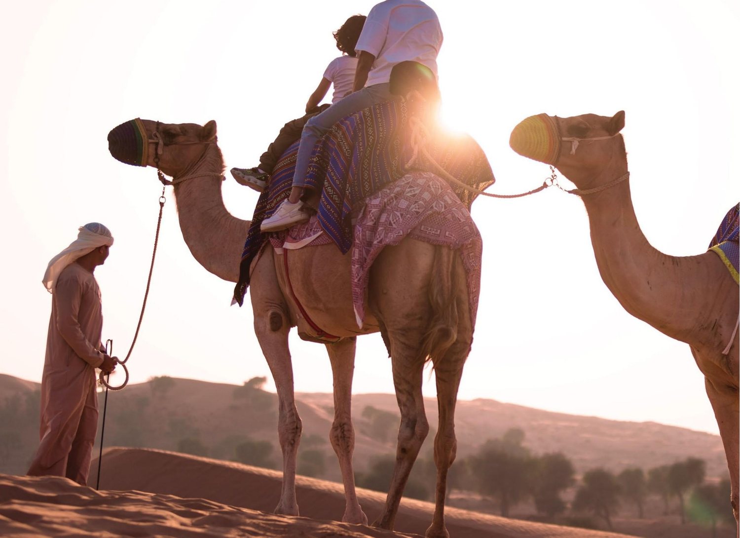 Family riding a camel at sunrise at Al Wadi Equestrian Center