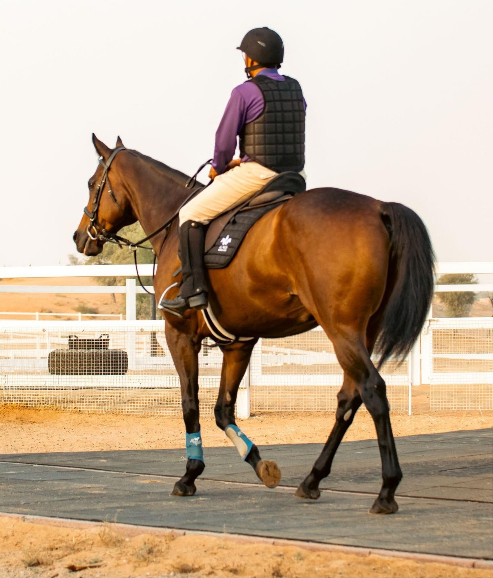 Rider on horseback at Al Wadi Equestrian Center