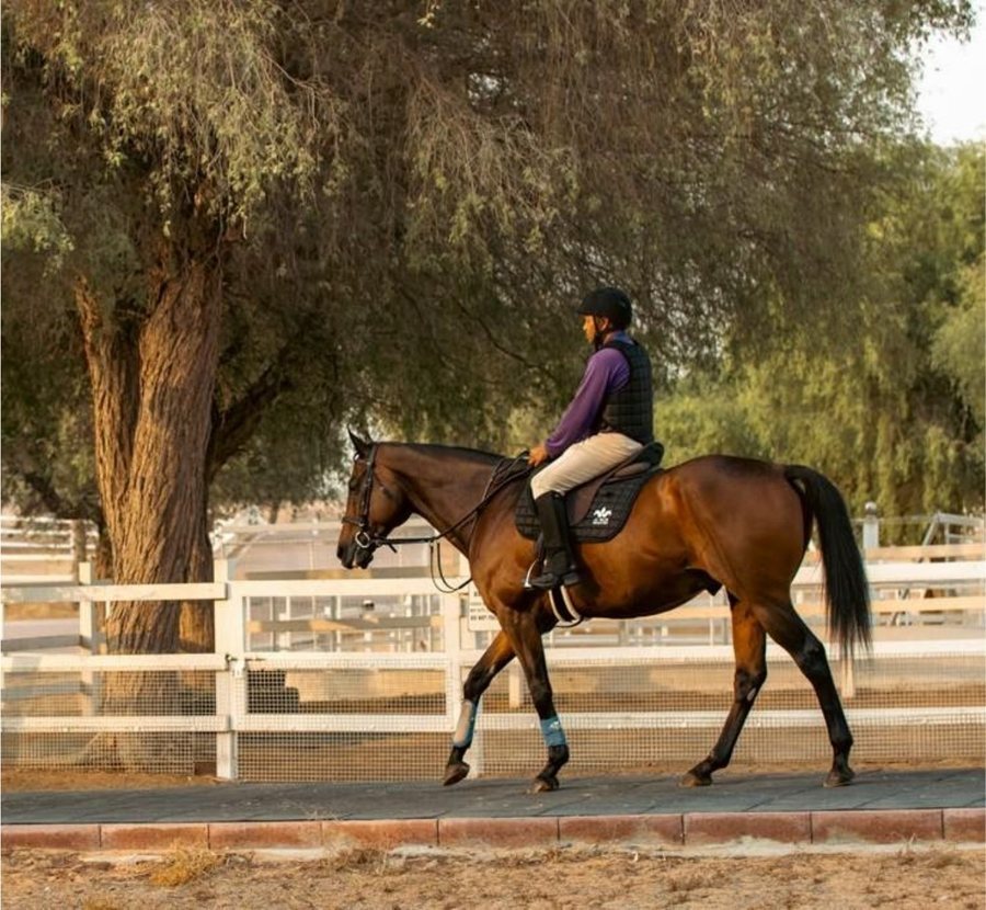 Rider on horseback in the arena at Al Wadi Equestrian Center