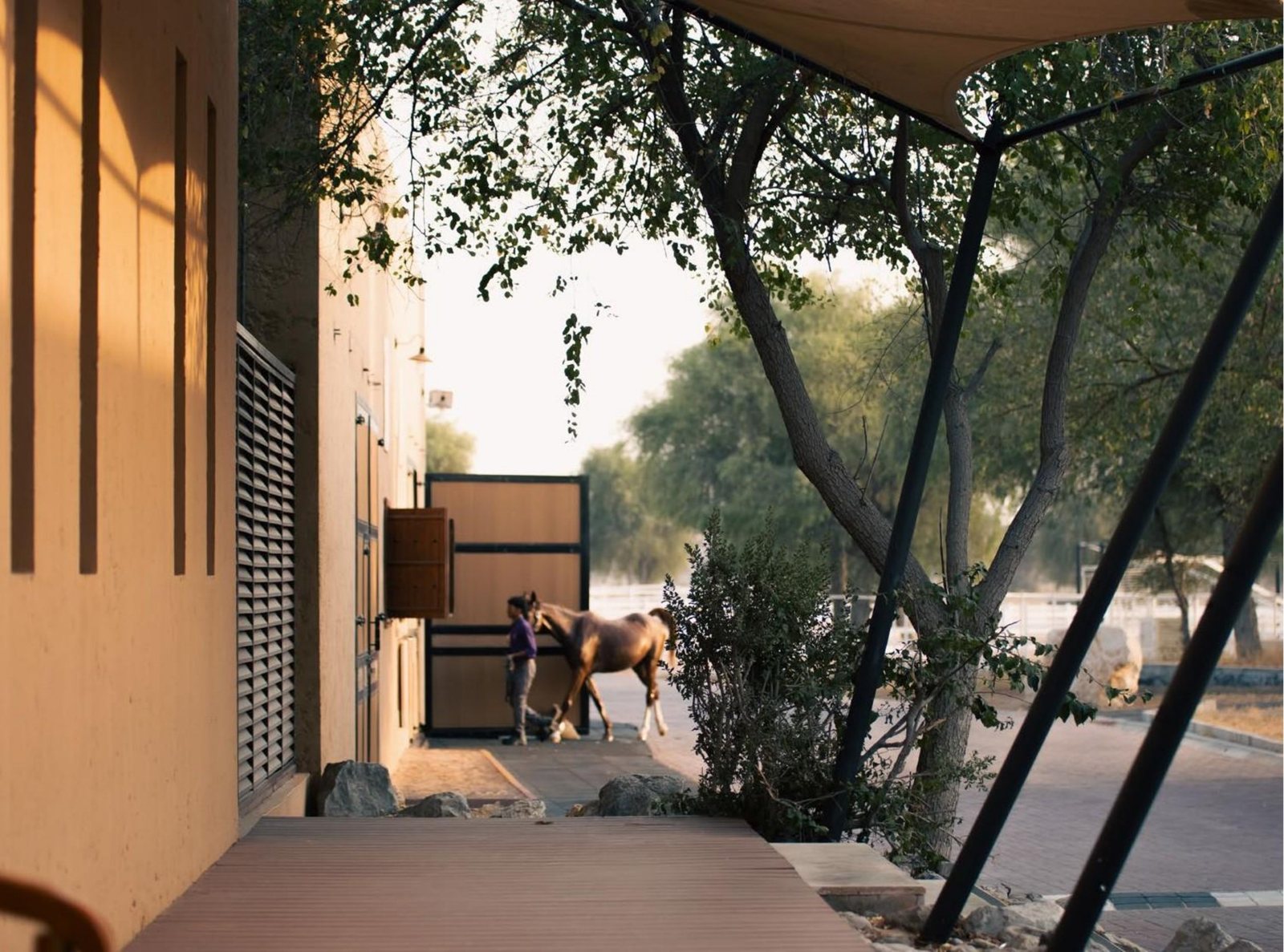Stable walkway at Al Wadi Equestrian Center